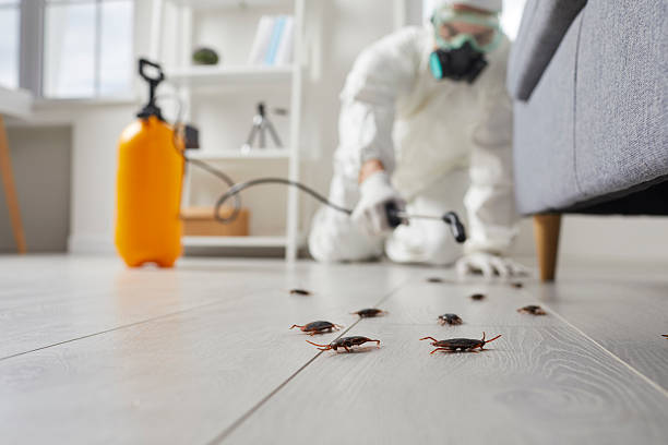 Commercial Rodent Management in Nedrow